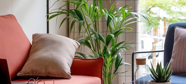 维多利亚自由酒店(Aparthotel Líbere Vitoria)图片