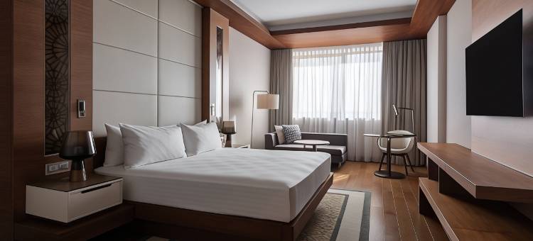 阿尔及尔巴布埃祖瓦尔万豪酒店(Algiers Marriott Hotel Bab Ezzouar)图片