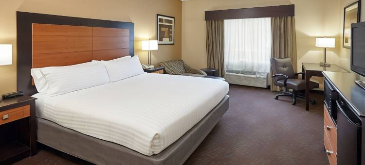 Holiday Inn Express & Suites Buford-Mall of GA图片