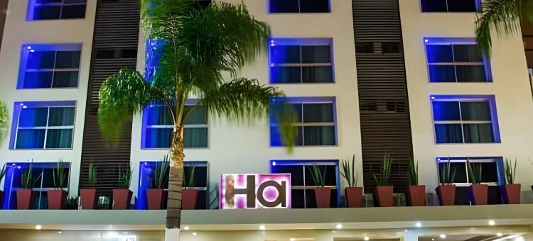 哈酒店(Hotel Ha)图片