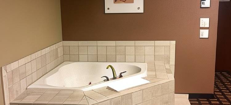 迈诺特麦客达温德姆酒店Minot(Microtel Inn & Suites by Wyndham Minot)图片