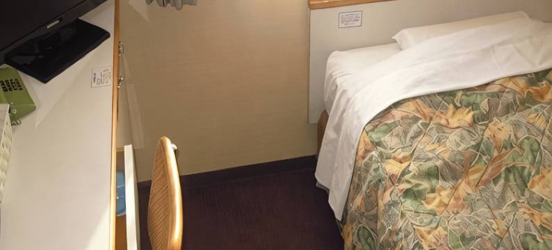 新泻公园酒店(Niigata Park Hotel)图片