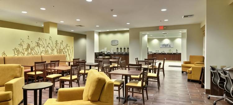 帕克斯堡舒眠酒店(Sleep Inn & Suites Parkersburg)图片