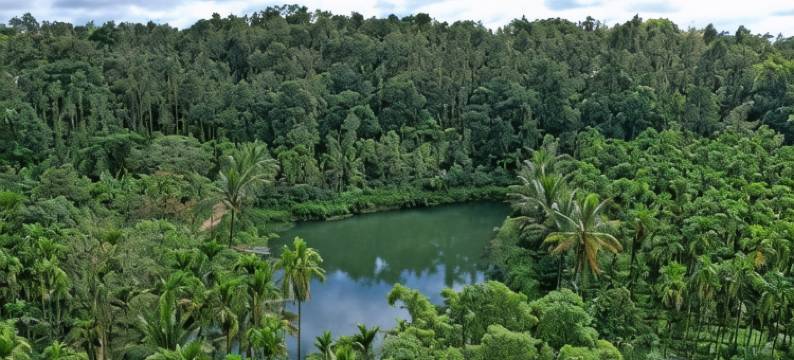 Leisure Homestay - Pool, Boating, Zipline, Home Food, Estate图片