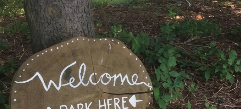 一夜之间风中柳树旅馆(Wind in the Willows Overnight)图片