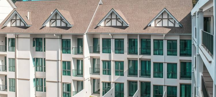 阿维伦金马仑高原酒店(Avillion Cameron Highlands)图片