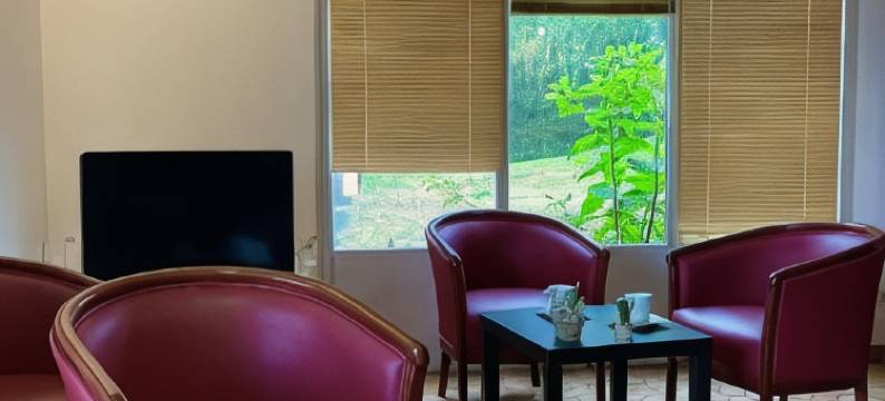 蒂耶尔康铂酒店(Campanile Thiers)图片