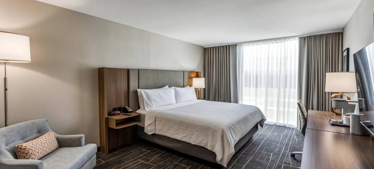 达拉斯市场中心爱田假日酒店(Holiday Inn DALLAS MARKET CTR LOVE FIELD)图片