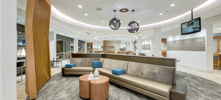休斯顿伍德兰万豪SpringHill酒店(SpringHill Suites Houston the Woodlands)图片