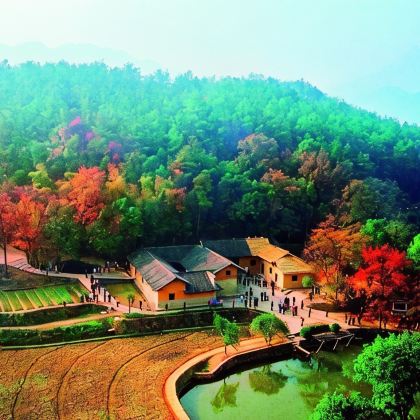 长沙+韶山+张家界+天门山+凤凰5日4晚跟团游