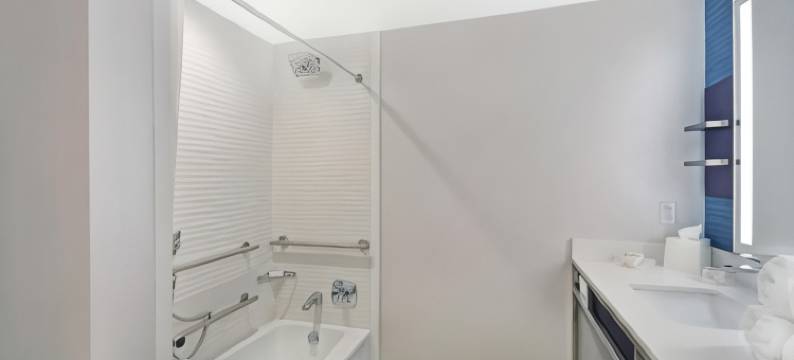 休斯顿霍比机场希尔顿花园酒店(Hilton Garden Inn Houston Hobby Airport)图片