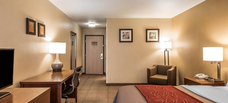 伯大尼凯艺套房酒店(Quality Inn & Suites Bethany)图片