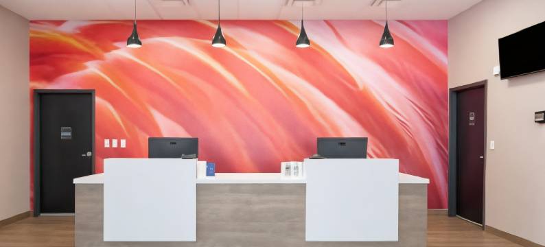 温德姆速8酒店 I-65 号公路，莫比尔(Super 8 by Wyndham Mobile I-65)图片