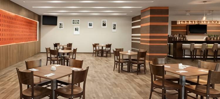 瓜达拉哈拉阿库厄杜克托温德姆花园酒店(Wyndham Garden Guadalajara Acueducto)图片