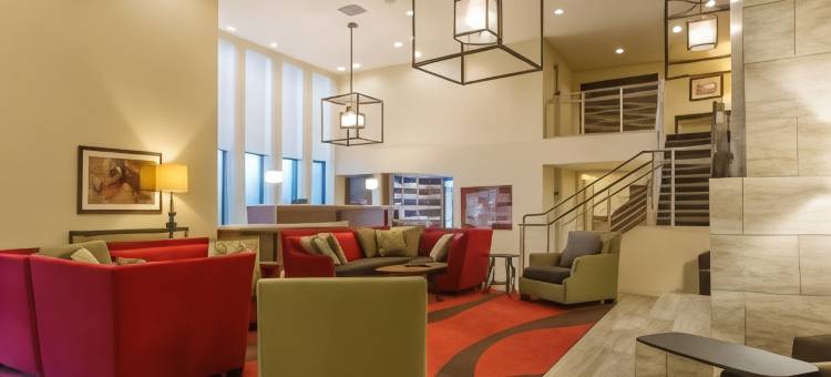 MTK芒特凯斯科酒店(Hotel Mtk Mount Kisco)图片