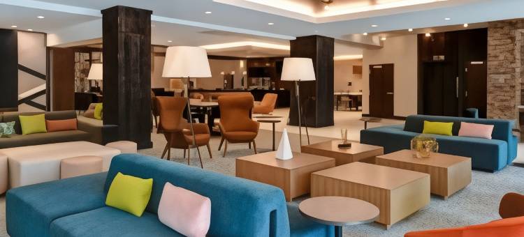 卡拉马祖市中心希尔顿花园酒店(Hilton Garden Inn Kalamazoo Downtown)图片