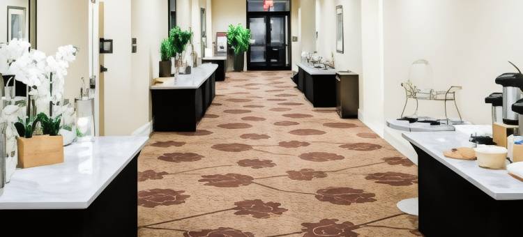 埃克斯顿西切斯特希尔顿花园酒店(Hilton Garden Inn Exton/West Chester)图片