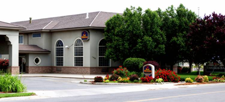 廷帕诺戈斯贝斯特韦斯特酒店(Best Western Timpanogos Inn)图片