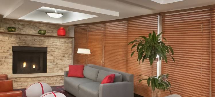 阿什维尔市中心福朋喜来登酒店(Four Points by Sheraton Asheville Downtown)图片