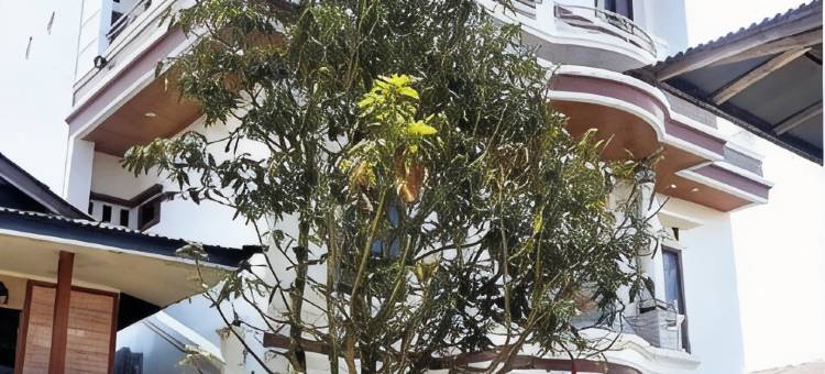 Toraja Lodge Hotel图片