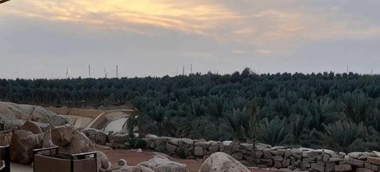 阿尔马尔法度假酒店(Al Malfa Resort)图片