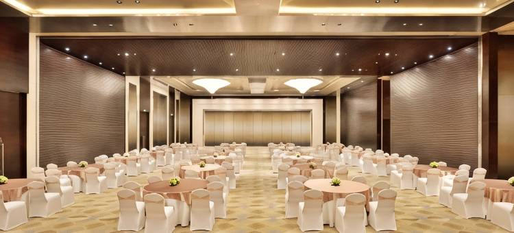 哥印拜陀丽笙酒店(Radisson Blu Coimbatore)图片