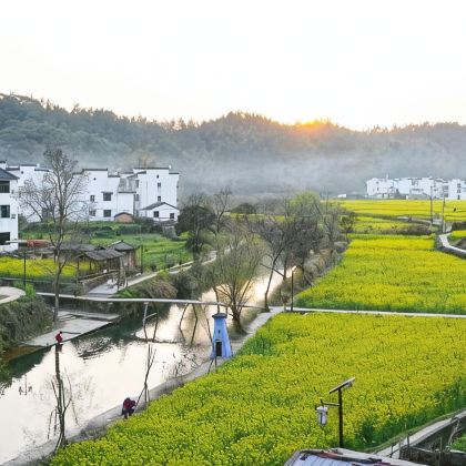 江西南昌+庐山风景名胜区+景德镇+婺源篁岭景区+黄山风景区6日5晚跟团游