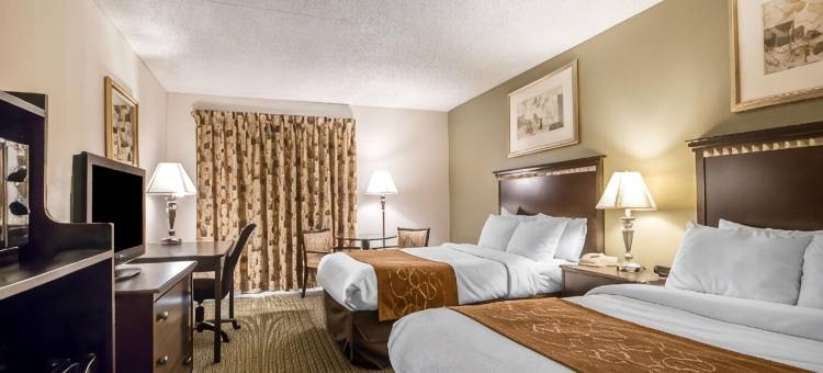 舒适套房酒店罗谢尔 - 迪卡尔布(Comfort Inn & Suites Rochelle - DeKalb)图片