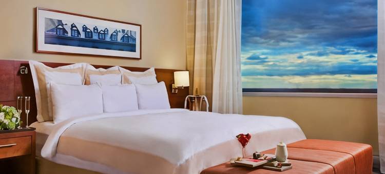 蒙特利尔机场航站楼万豪酒店(Montreal Airport Marriott in-Terminal Hotel)图片