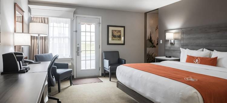 阿姆斯特丹蒙克顿套房酒店(Amsterdam Inn & Suites Moncton)图片