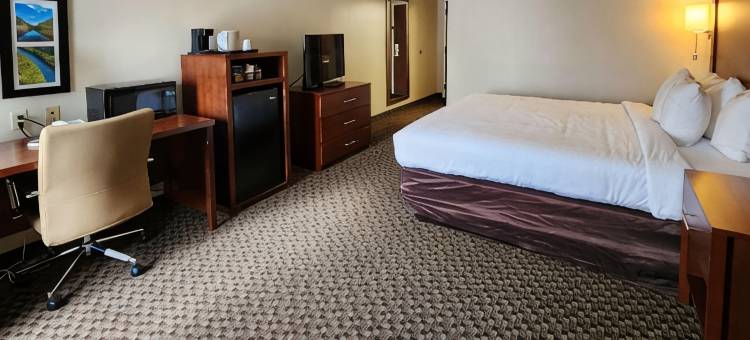 舒适套房酒店(Comfort Inn & Suites Mount Pocono)图片