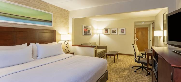 巴尔的摩BWI机场假日酒店(Holiday Inn BALTIMORE BWI AIRPORT by IHG)图片
