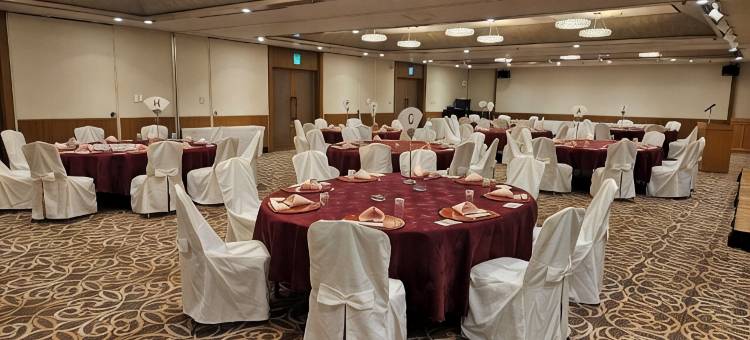 平冢神奈大酒店(Grand Hotel Kanachu Hiratsuka)图片