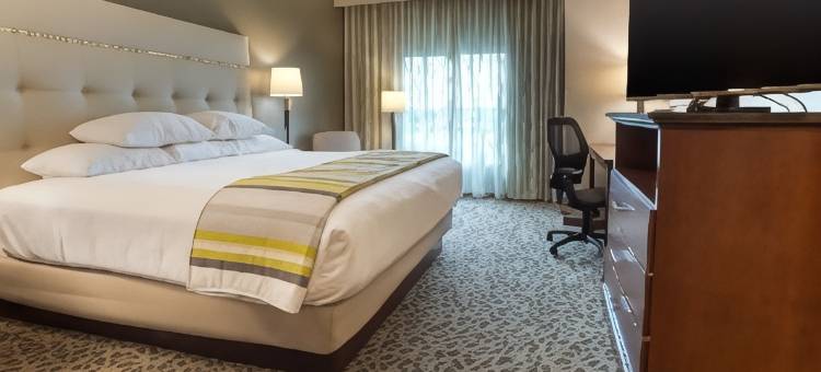 亨茨维尔太空火箭中心德鲁里套房酒店(Drury Inn & Suites Huntsville Space & Rocket Center)图片