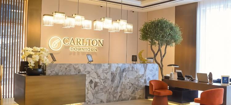 卡尔顿市中心酒店(Carlton Downtown Hotel)图片