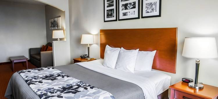 纽布朗费尔斯舒眠套房酒店(Sleep Inn & Suites New Braunfels)图片