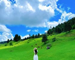 Cool off in Wulong at 21°C, photogenic grassland roads