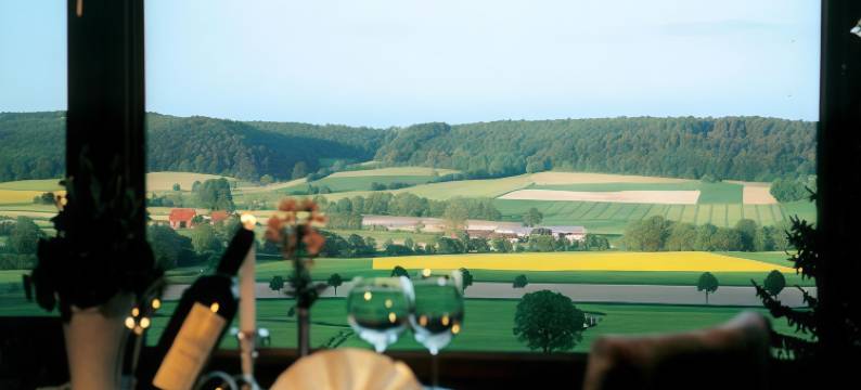 罗森伯格酒店(Hotel am Rosenberg)图片