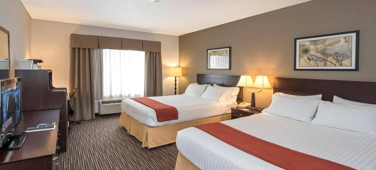 芝加哥迪尔菲尔德/林肯郡智选假日套房酒店(Holiday Inn Express & Suites Chicago-Deerfield/Lincolnshire)图片