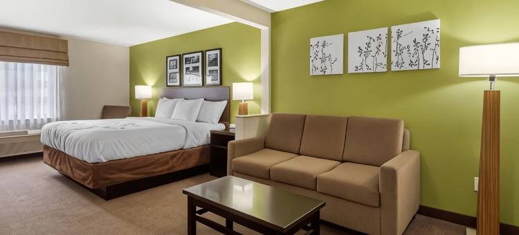 安眠套房酒店(Sleep Inn & Suites)图片