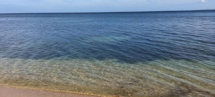 Nomad Divers Bangka图片