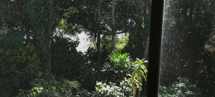 加勒里汽车旅馆(Gallery Motel)图片