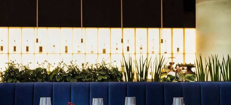 索非亚Juno酒店，设计酒店成员(Junó Hotel Sofia, a Member of Design Hotels)图片