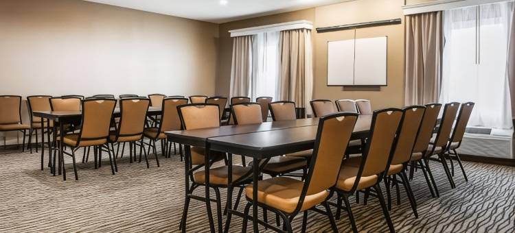 舒适套房酒店(Comfort Inn & Suites)图片