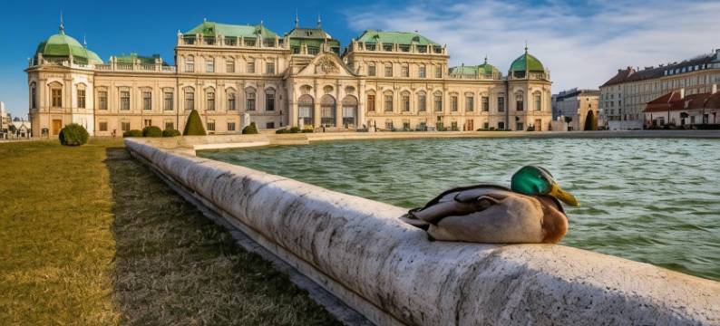 兰德伽斯豪富苏尔林德拉本酒店(Landgasthof Zur Linde Laaben)图片