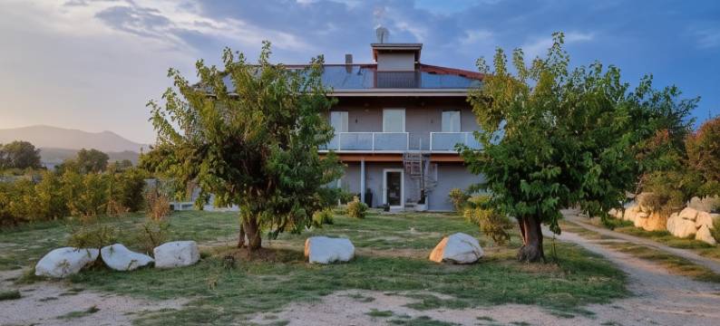 安蒂卡杰尔西之家(Antica Dimora dei Gelsi)图片