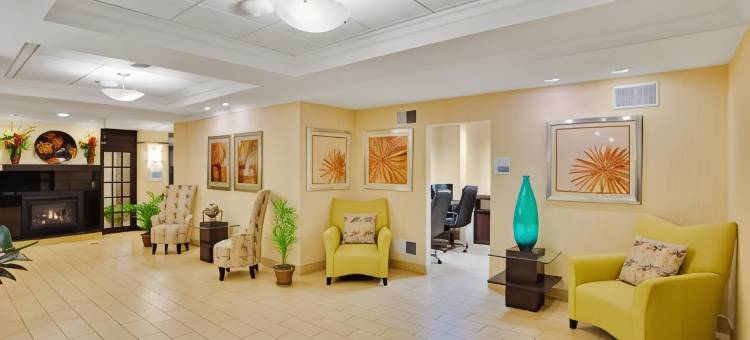 智选假日套房酒店黎巴嫩(Holiday Inn Express & Suites Lebanon)图片