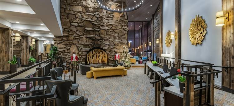 Crowne Plaza Resort 阿什维尔(Crowne Plaza Resort Asheville)图片