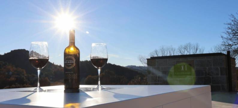 MyStay - 恩里克之家(Casa d'Henrique Retreat Pool and Spa)图片