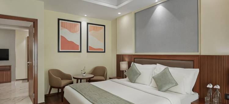 班加罗尔南方之星酒店(Southern Star,Bangalore)图片